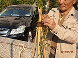 白竹の支柱を三本添えにして苗木を安定させます。