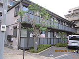 アパートの植栽の剪定　after