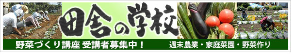 田舎の学校　野菜作り講座 受講者募集中！　週末農業・家庭菜園・野菜作り