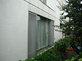 Before　緑のカーテン施工前