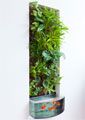 植物壁