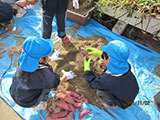 幼稚園児と一緒に収穫