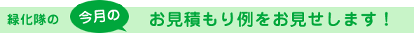 緑化隊の今月のお見積もり例をお見せします!