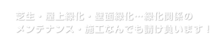芝生・屋上緑化・壁面緑化・・・緑化関係のメンテナンス・施工なんでも請け負います！