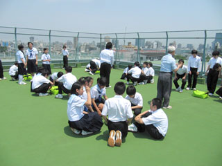 中学校 サツマイモ屋上緑化