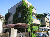 壁面緑化の撤去　before
