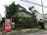 庭木のお手入れ2 after