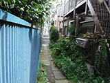 敷地の除草　before