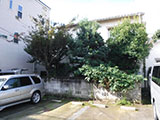 庭木のお手入れ4 before