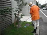 芝生のお手入れ オーガニックな施肥