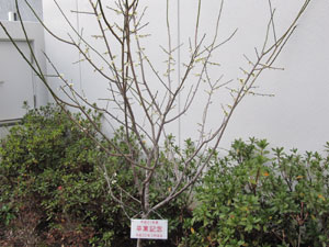 20110225