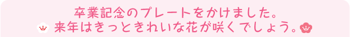 卒業記念のプレートをかけました。来年はきっときれいな花が咲くでしょう。
