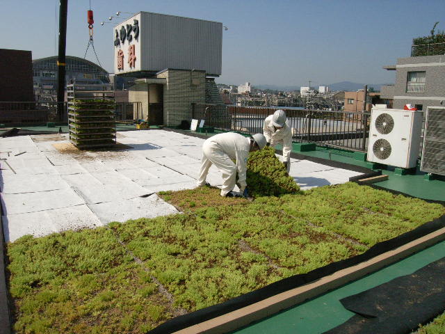 工事前　塗装が多少劣化しています