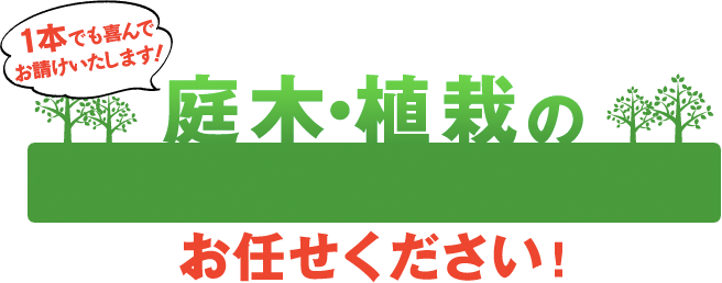 １本でも喜んでお請けいたします！植木・植栽の枝切り・剪定・伐採・お手入れお任せください！